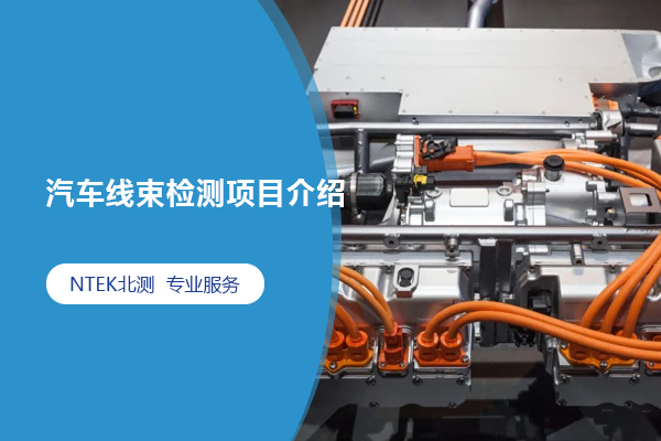 汽車線束檢測(cè)測(cè)試項(xiàng)目介紹